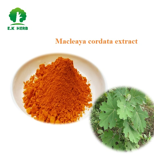 E. K Herb Factory 60% Sanguinarine Powder Macleaya Cordata Extract CAS No. 2447-54-3