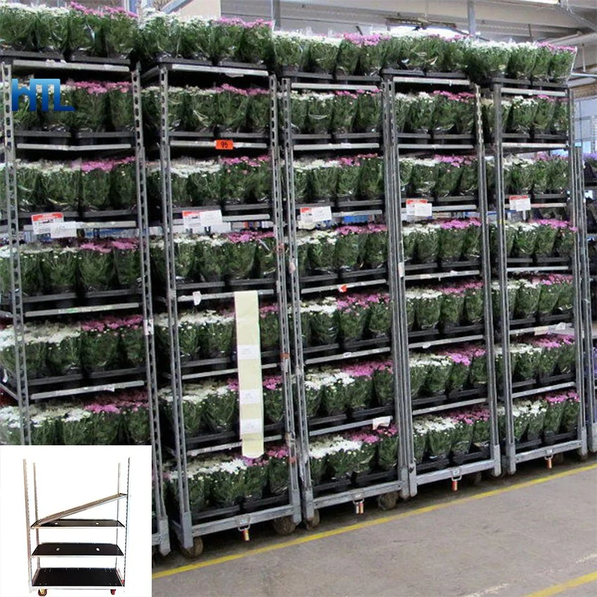 Flor de la planta de vivero Miltishelf danés del transporte de gases de efecto carro