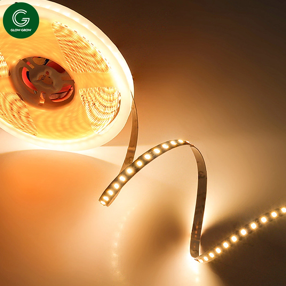 Warm White Factory 6mm Width IP20 2835 120 LEDs/M Naked Strip Light Tape Light for Commercial Places Event Decoration