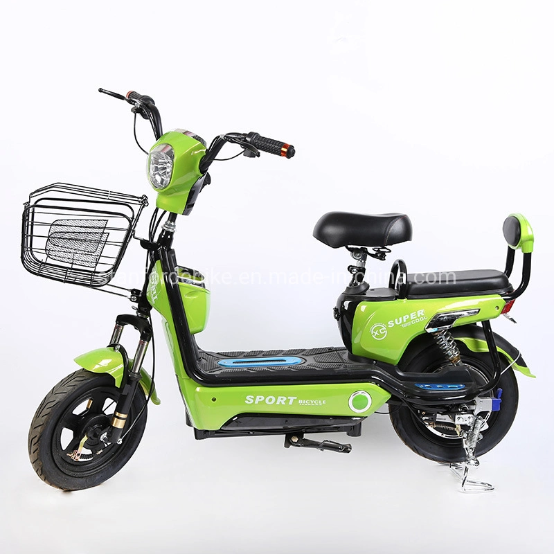 Electric Dirt Bike 48V Electric Cycle Electric Bike Wholesale/Supplier