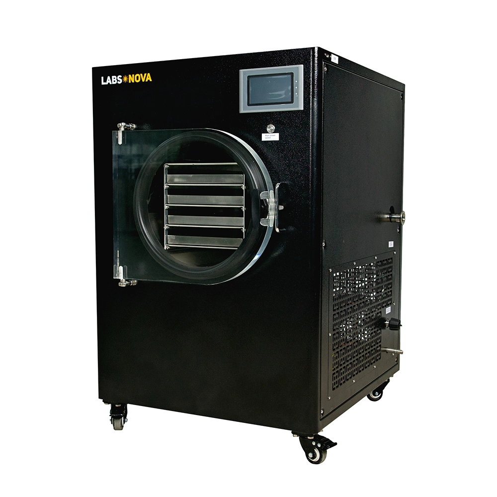 Freeze Dryer Manufacturers Small Mini Liofilizer Vacuum Freeze Dryer