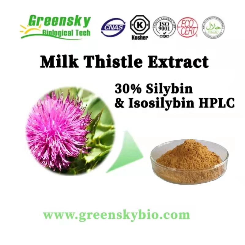 Silybum Marianum Plant Blessed Thistle Seed Powder 30% Silybins HPLC Milk Thistle Extract for Liver Health