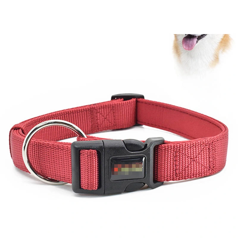 Hot vender Amazon Collar de perro Gato como mascota