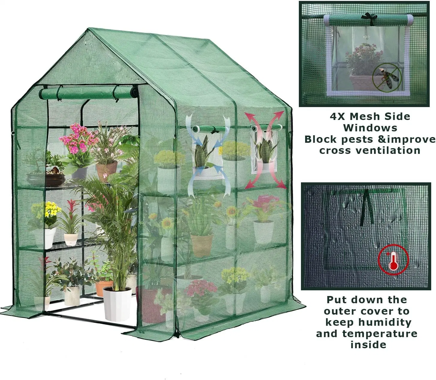 Heavy Duty Powder-Coated Steel Walk-in Greenhouse for Outdoors