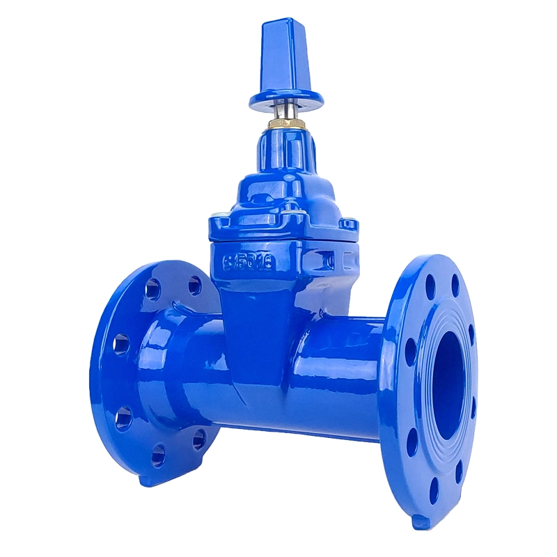 DIN F5 Series Gear Operation Carbon Steel Flanged End Type Non Rising Stem Gate Valve