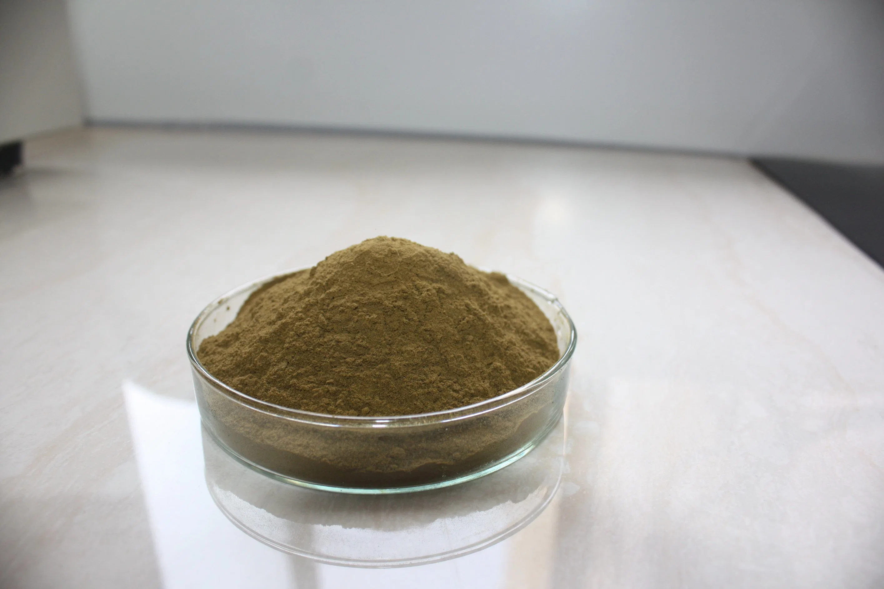 Feed Supplement Andrographis Paniculata Extract 10%-98% Andrographolide