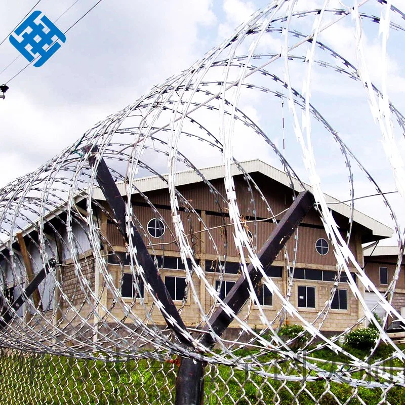 Hot DIP Galvanized Low Carbon Steel Razor Barbed Wire