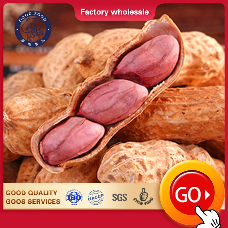 Cheap Suppliers of Chinese Milk Taste Roasted Peanut in Shell