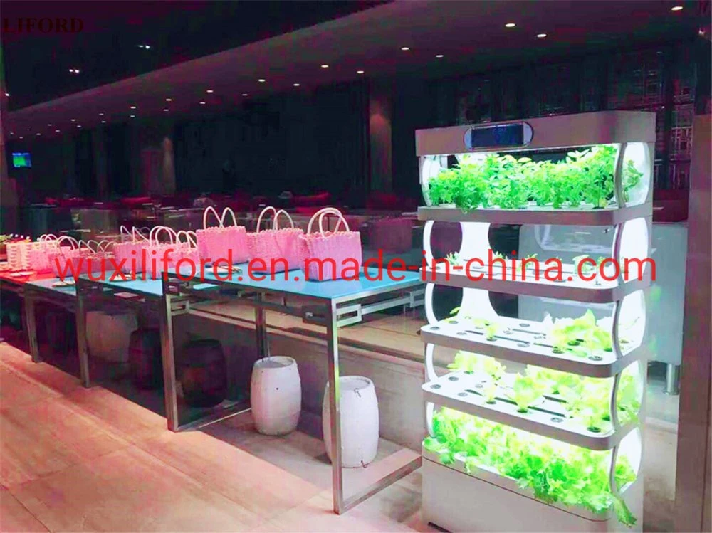 Wholesale/Supplier Greenhouse Indoor Vegetable Planting Hydroponics Growing System