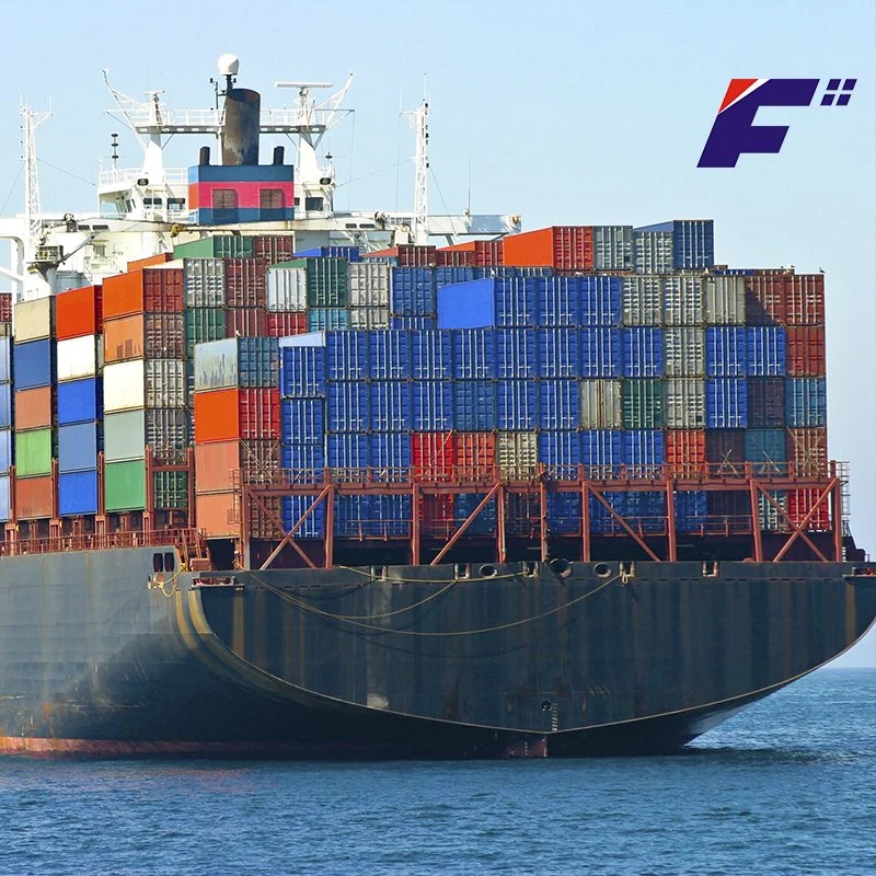 Logistics Forwarder Fast Door to Door Sea Shipping Service to Somalia