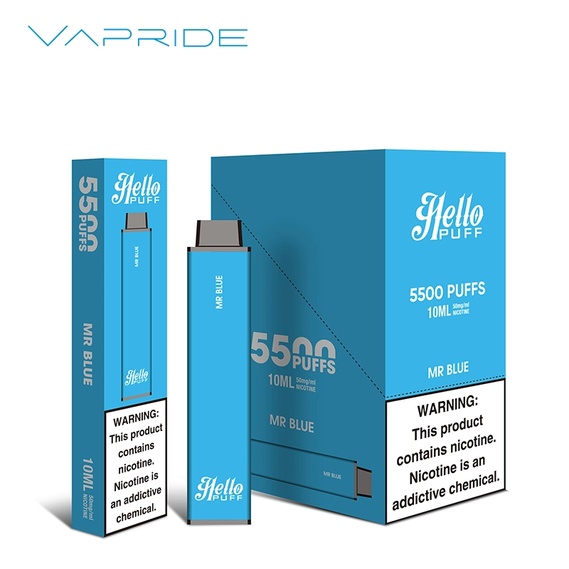 Pre-Filled 5000puffs 6000 Puff Bars Disposable/Chargeable Vape Pen Style 5% E Juice