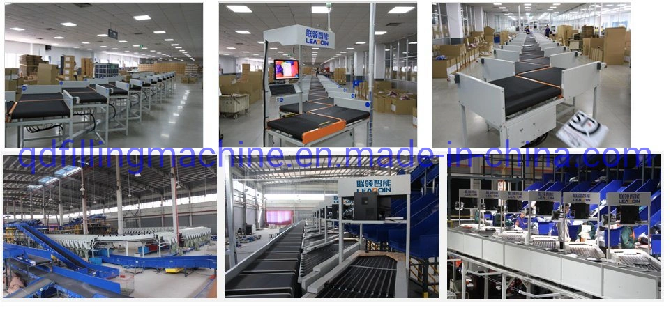 High Efficiency Reciprocating Cross Sorting Line for E-Shop Parcels Delivery