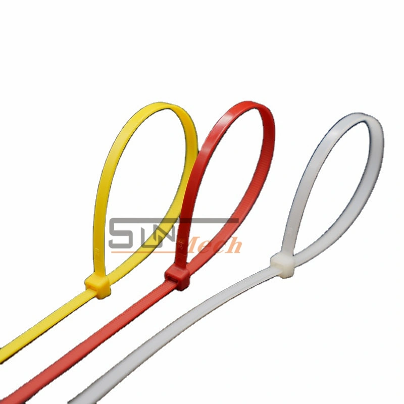 Plastic 2.5mm 3.6mm 4.8mm 7.6mm 9mm Nylon PA66 PA6 Normal Packing Self-Locking Nylon Cable Tie