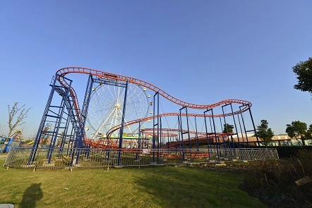 Parque de diversiones al aire libre Mouse loco equipo