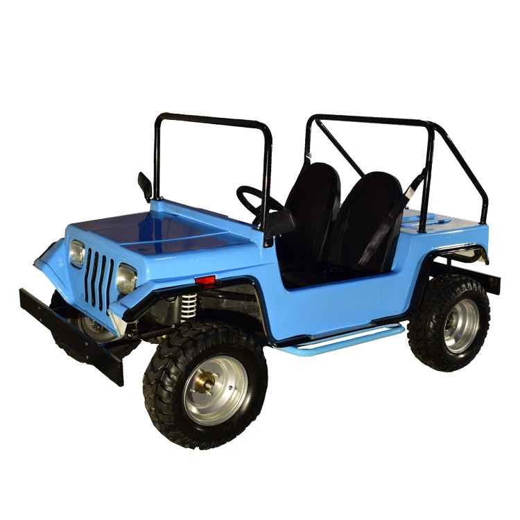 Wholesale/Supplier Kids Mini Jeep 1.5kw Adult Mini Cars Jeep Willys 4*4 for Sale