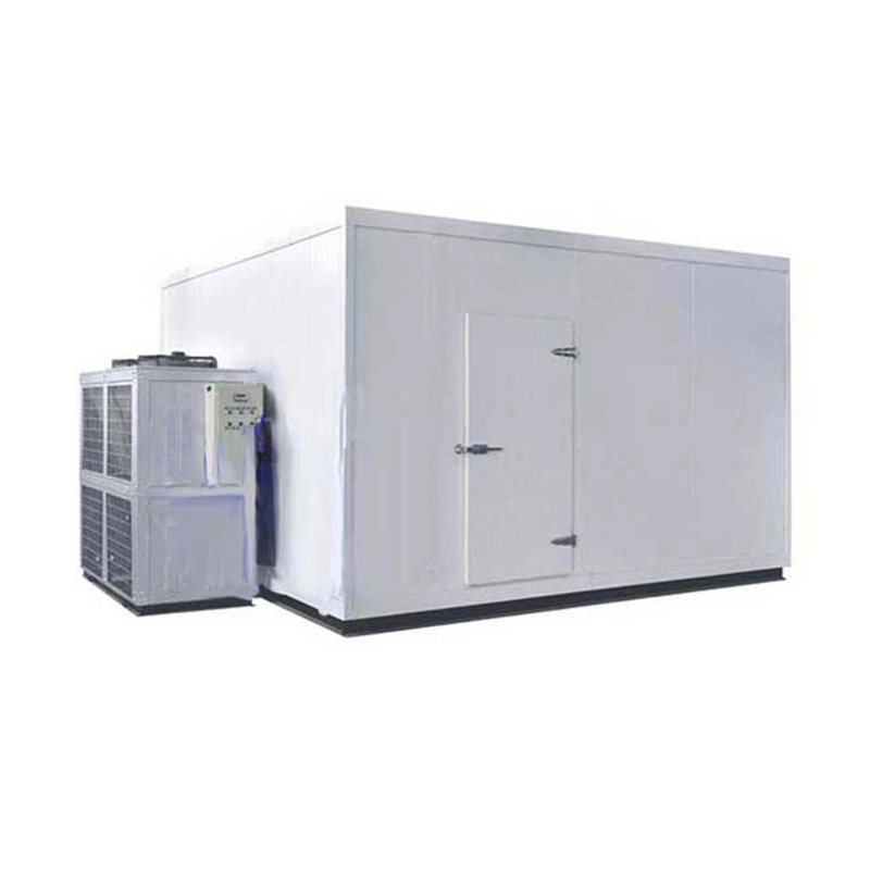 Freezer Cool vegetais frescos frutos do mar de carne Supermercado Alimentar Grande Carga Sala Fria o equipamento de armazenamento