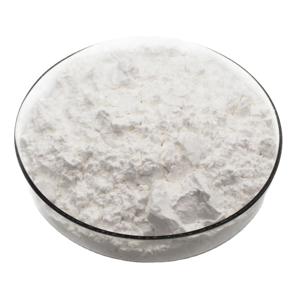 Natural High Purity 99% Nm Size Clinoptilolite Zeolite Powder White Zeolite Powder Food Grade