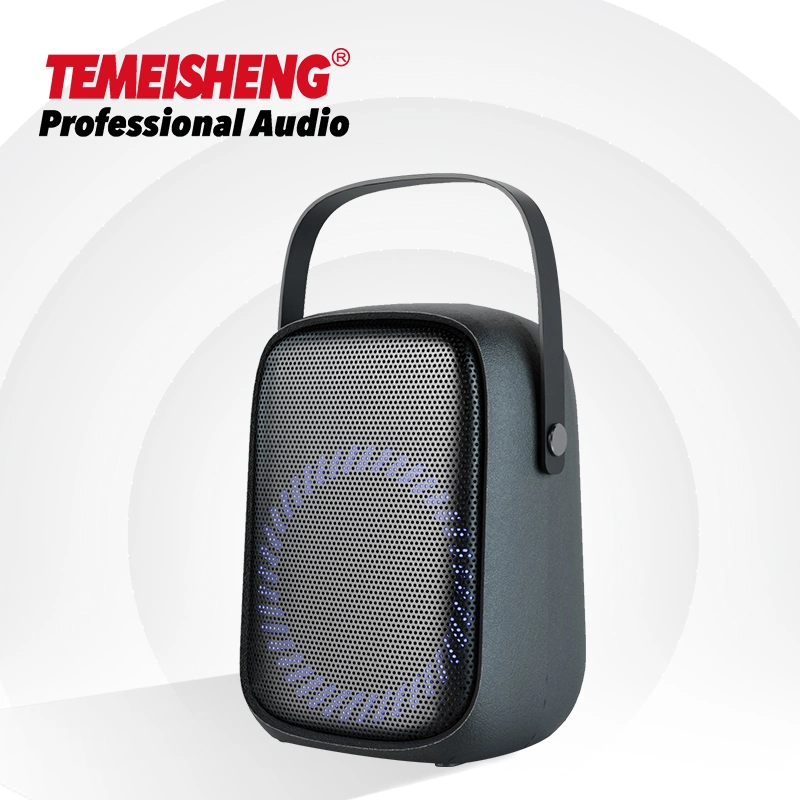 Temeisheng New 6.5 Inch IP55 Classic Musical Boombox Beach Splashproof Rechargeable Outdoor Party Bt Wireless Speaker