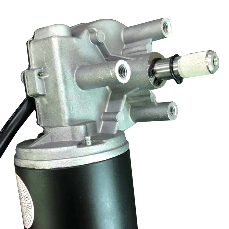 Alternador da turbina, baixa velocidade, motores de engrenagem metálica, mini rpm Motor DC eléctrico de 12 V, 24 V.