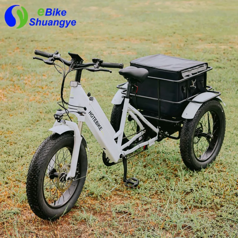 750W 500W Powerful Rear Motor Electric Tricycle 3 Wheels E Trike Cargo Bike Fat Tire Electric Trike
