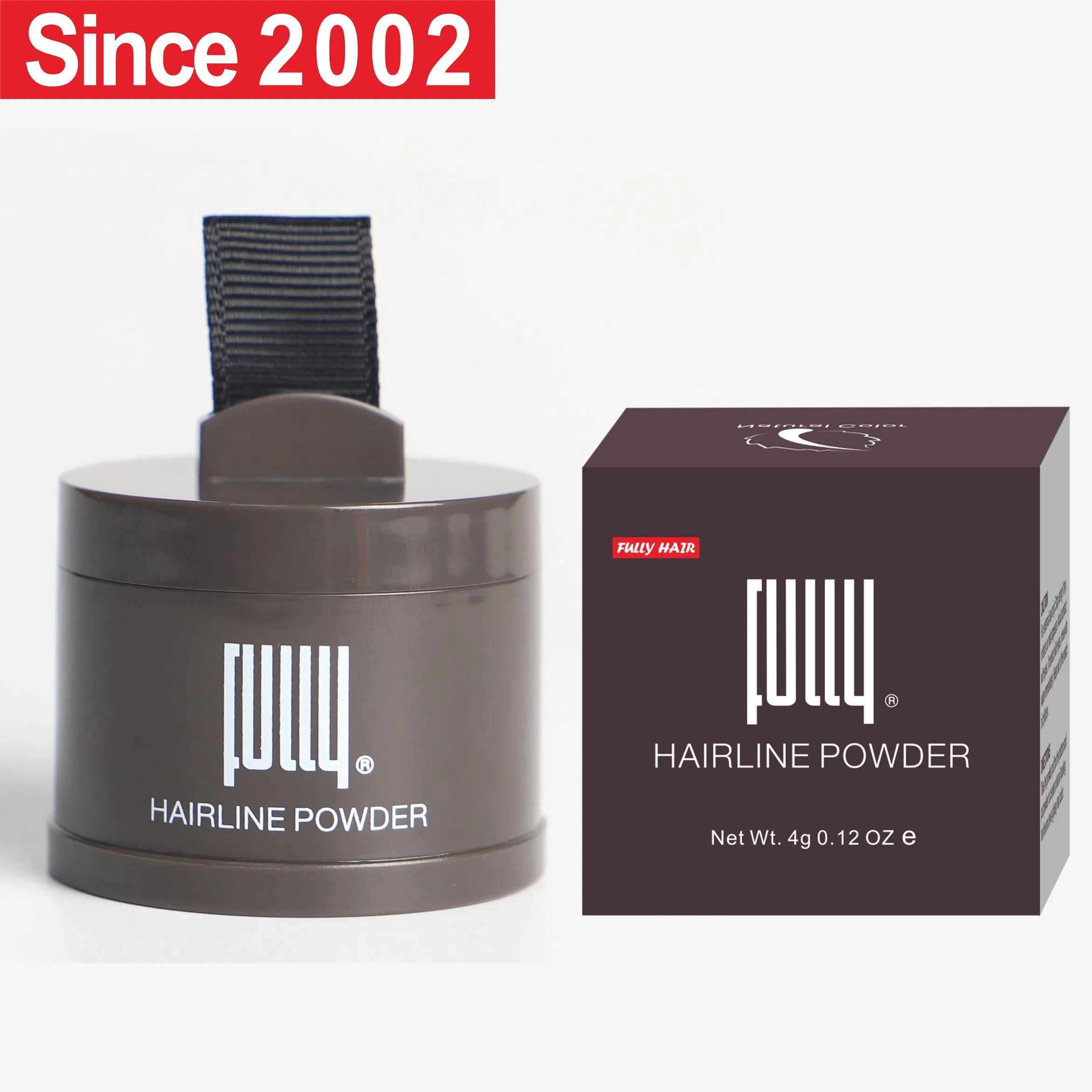 Factory Wholesale/Supplier Price Professional OEM ODM Fully Hairline Powder Hair Loss Concealer for Thinning Hair