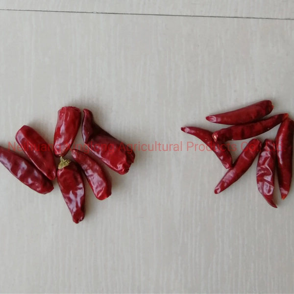 Les chinois rouge piment chili Chaotian Zidantou sec / Bullet piment poivre de Cayenne