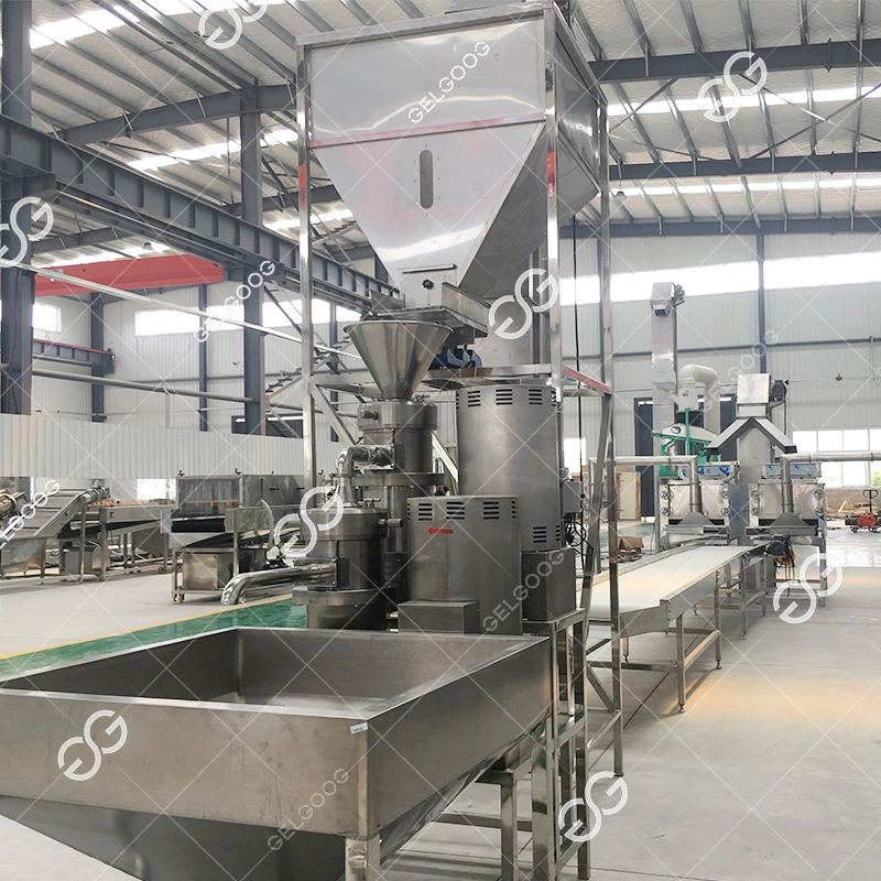 Gelgoog Automatic Cacao Bean Processing Machine Nibs Liquor Equipment Cocoa Powder Butter Production Line