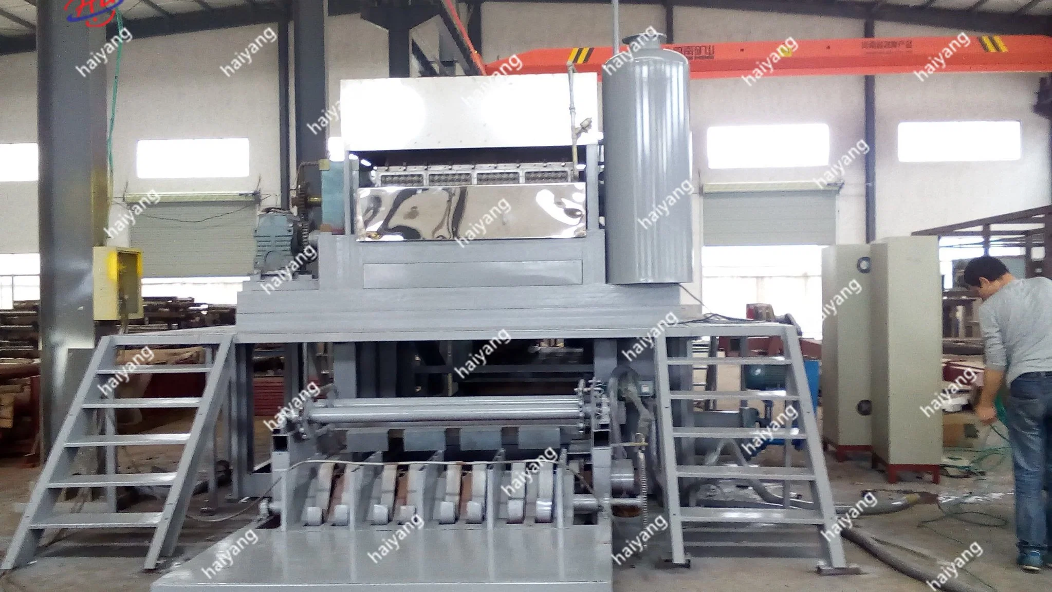 Haiyang Automatische Rotary Pulp Formmaschine Egg Karton Maschine für Verkauf