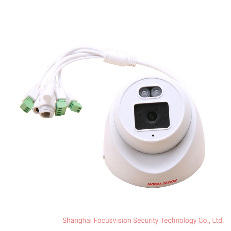 2MP Human Detection IR Infrared IP Fixed Dome Network CCTV Security Camera