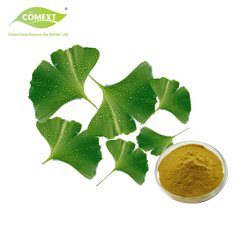 Comext Ep USP Standard el extracto de Ginkgo Biloba Natural