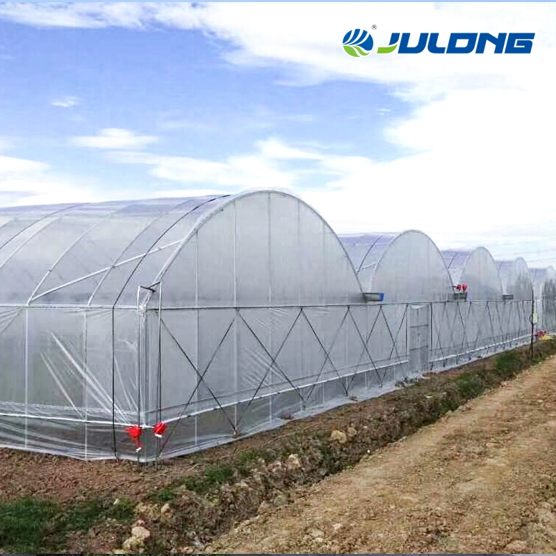 High quality/High cost performance Agricultural Products Tunnel Film Greenhouse with Cooling Pad for Vegetable Planting