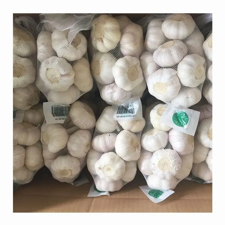 Garlic Fresh Normal White Garlic High quality/High cost performance  New Crop Mesh Net Bag China Suppliers