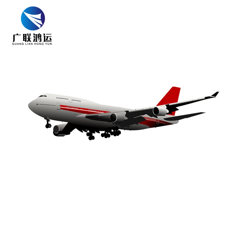 Air Cargo Freight Door to Door Shipping Service to Canada South Africa India Dubai China Freight Agents