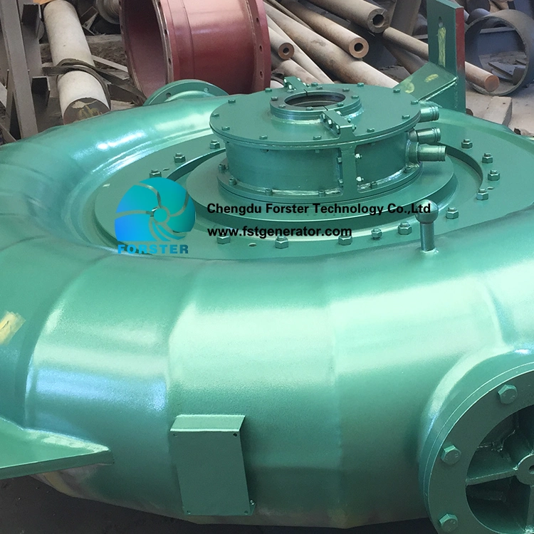 China Francis Hydrolic Turbine 1megawatt with Electric Generator