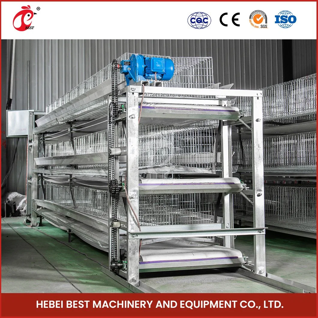 Bestchickencage H Type Pulled Brooder Cage Breeder Cage China Mobile Pullet Hen Manufacturing Wholesale/Supplier Long Service Life 5 Chicken Pullet House Cage