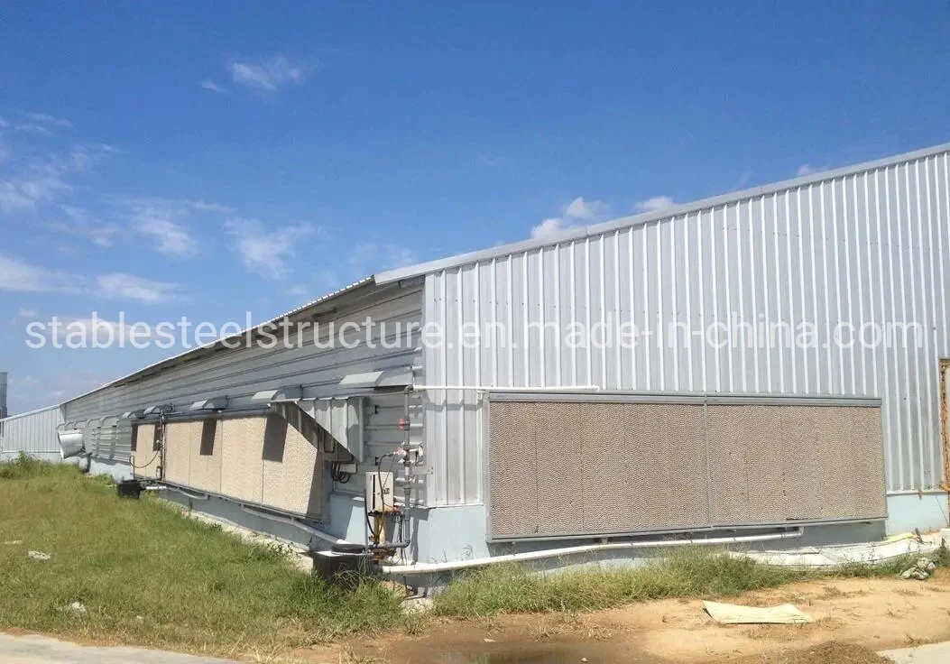 Bajo costo prefabricados prefabricados moderno edificio de estructura de acero de arrojar el huevo de granja de aves de corral pollo broiler Casa con mejor diseño