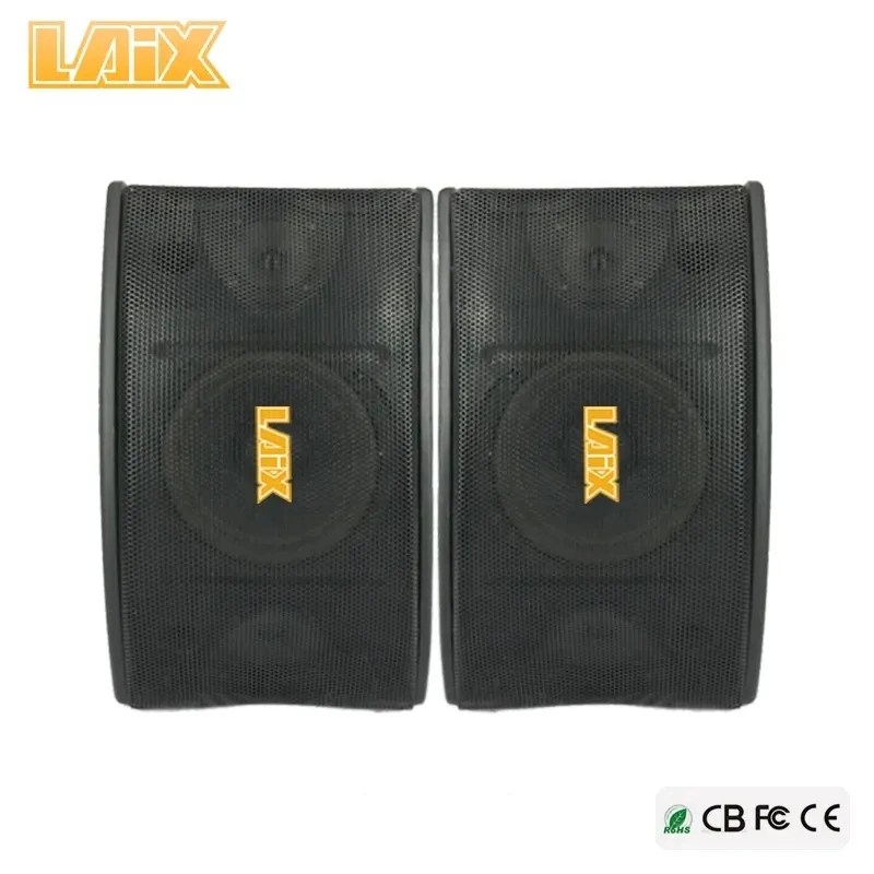 120W 10 Inch Black Karaoke Wall Speaker for Conference and KTV