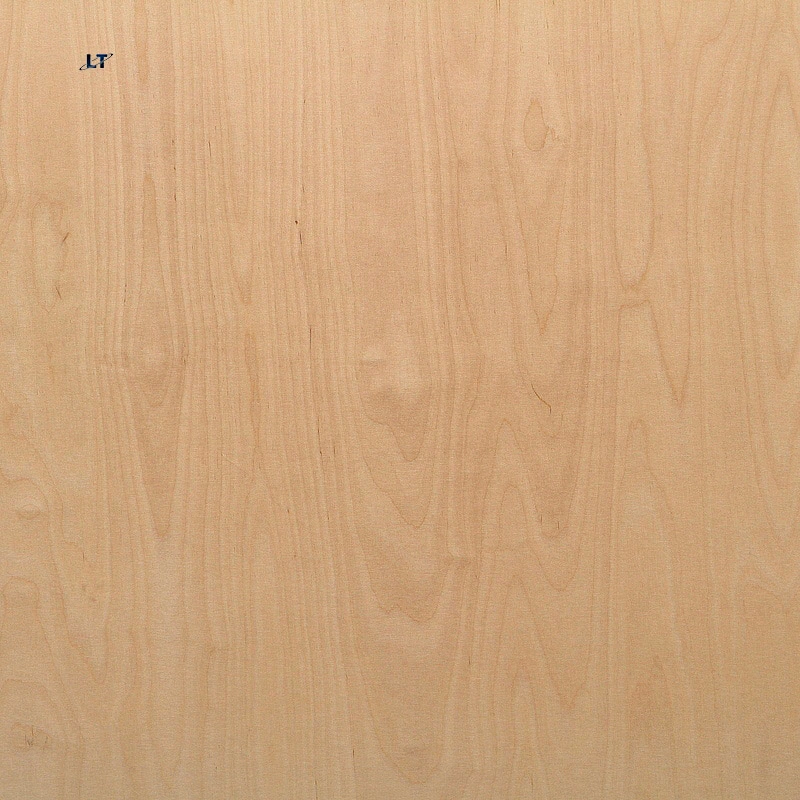 12mm 18mm Phenolic Resin Coated 100% White Birch Plywood Board