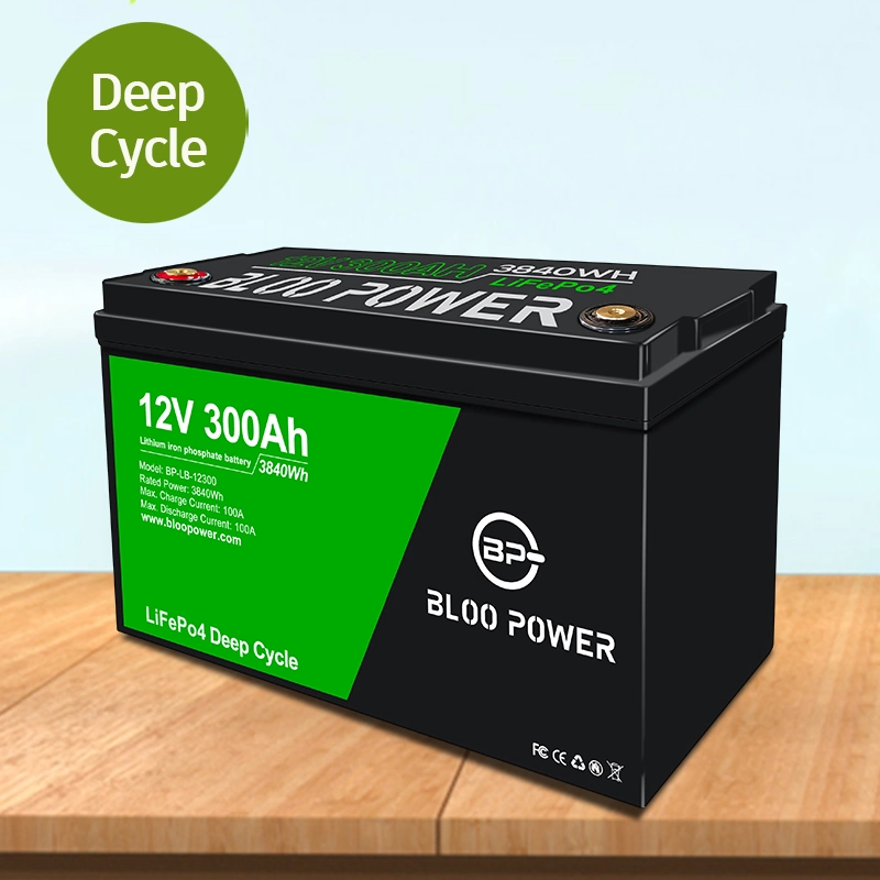 Bloo Power 12 24 Volt Li-ion des piles lithium-ion Pack pour chariot élévateur du réceptacle de manutention de matériel électrique Le nettoyage des véhicules de stockage du véhicule