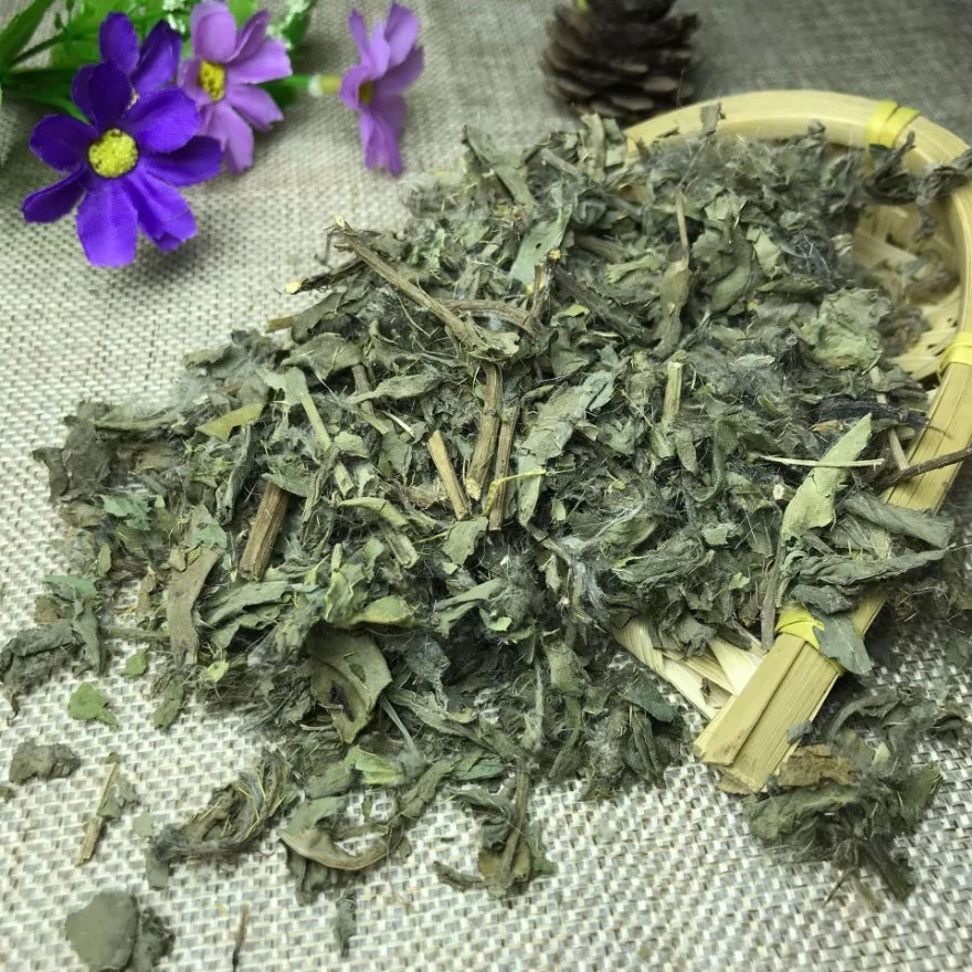 Xiaoji Hot Sale Chinese Medicine Cirsii Herba for Sale