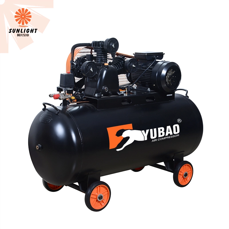 220V 100 Liter Air Compressor Tire Car Industrial Large Gas Machine in China