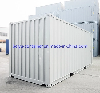 20FT Shipping Container for Sale Price with 30480kg Mgw Intermodal Transportation