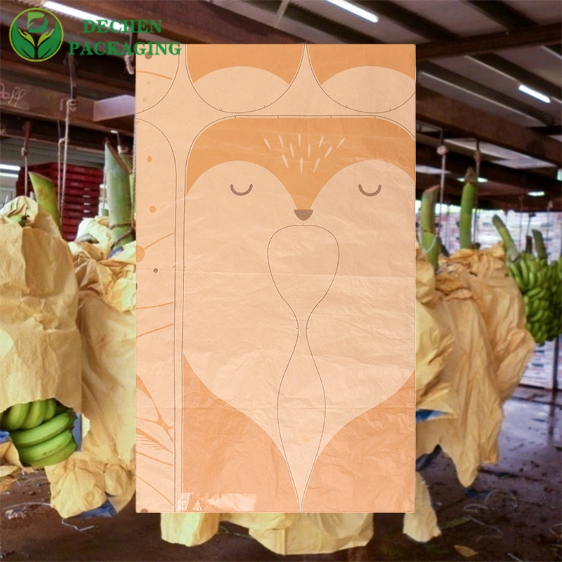 تنمو أوراق خبز الموز الخاصة بشجرة الفاكهة في مجال الحماية المتنامية من الاغتصاب حقيبة