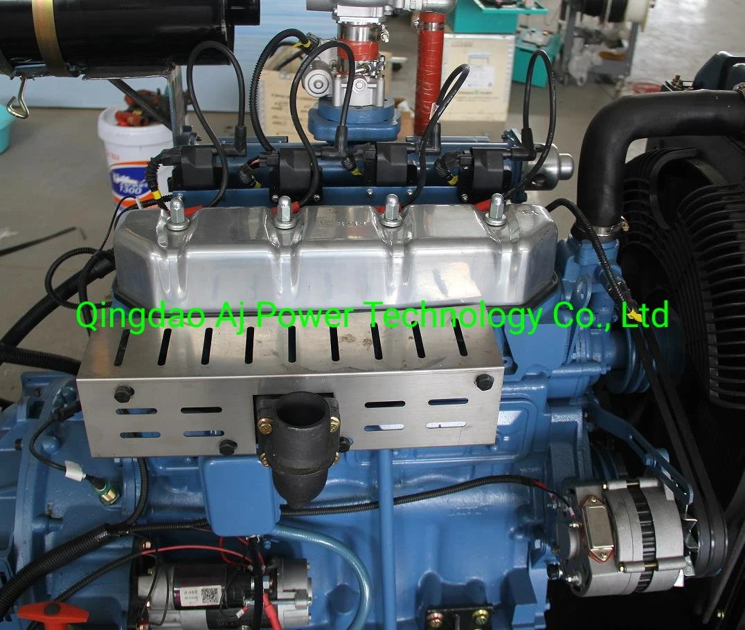 Cheap Price Ricardo 16kw 20kVA CNG Generator Set