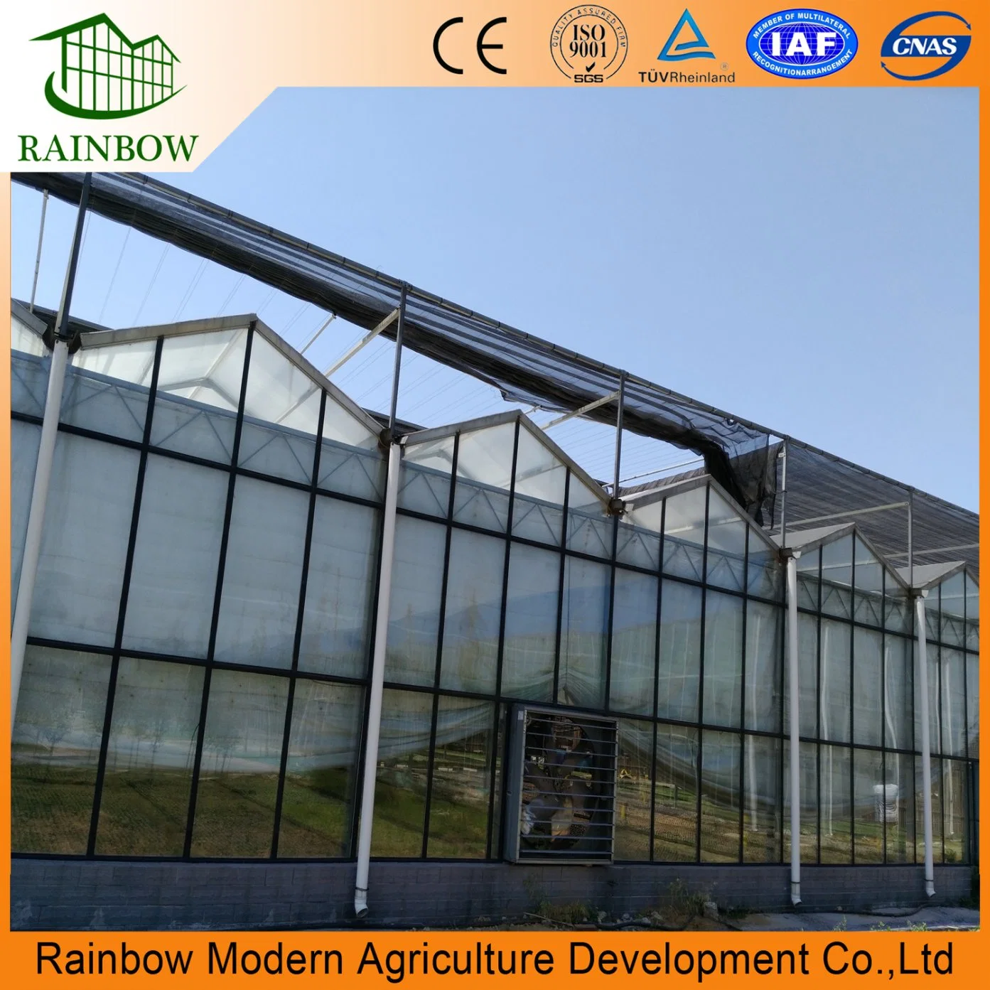 Agriculture Arched Roof Greenhouse Factory Supply