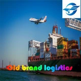 China's Well-Established Freight Forwarder, Global Door-to-Door Service