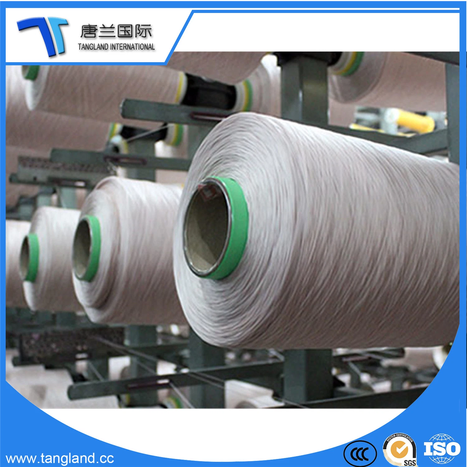 PA6/Polyamide Nylon6 Industrial UV Resistant Yarn/Silk