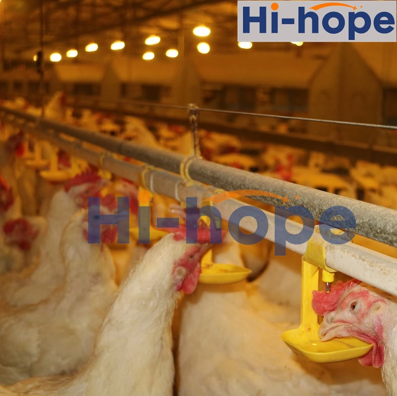 Automatic Chicken Nipple Drinker Broiler Waterer Drinking System