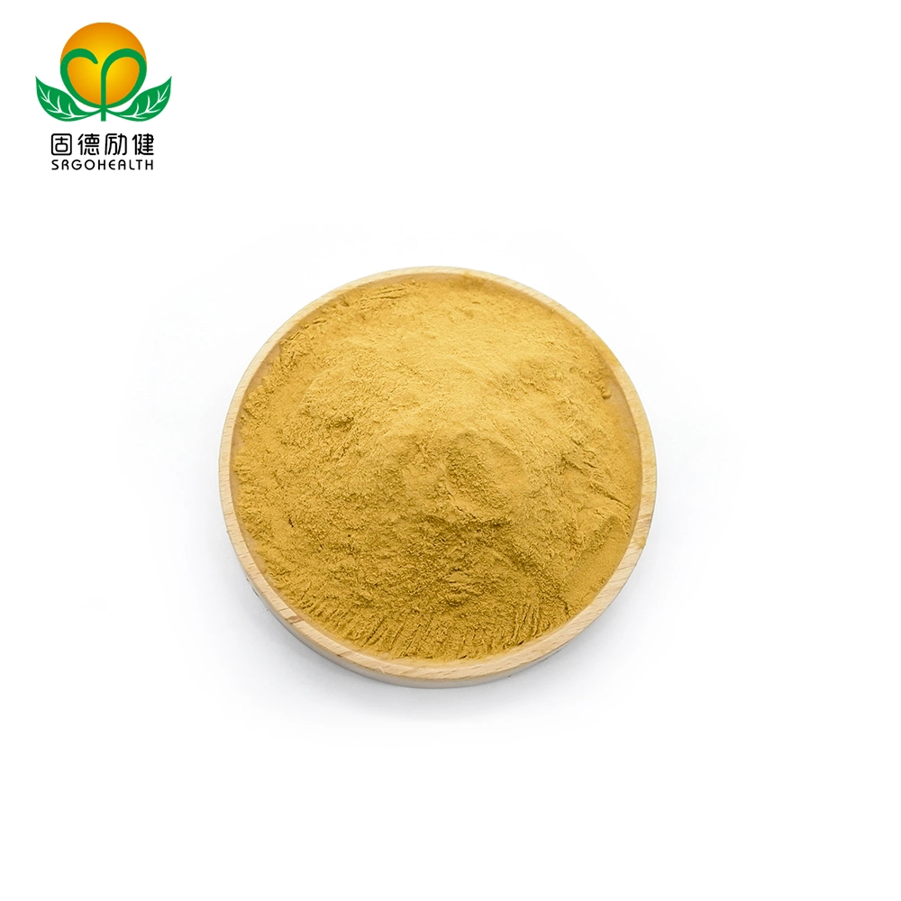 OEM GMP Amazon Hot Selling Lower Price Hericium Erinaceus Extract Powder