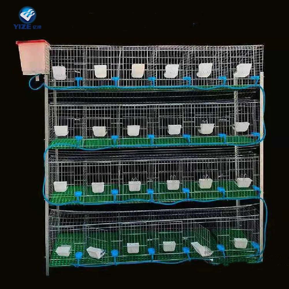 Metal Stainless Steel Material Netting Door Large Rabbit Goose Duck Broiler Run Cages Automatic Chicken Coop China Supplier